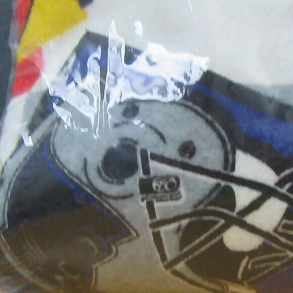 VTG Game Day NFL Team Blanket 72x90 Northwest Company USA Made Twin or Full Size - Picture 6 of 16